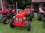 Leezdorf 4 Fergie in Rot
