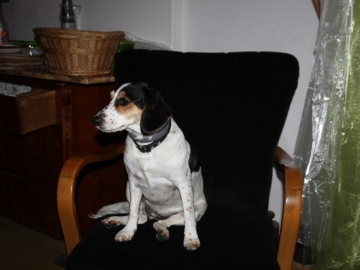 Himmelfahrt_2014_088