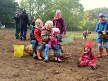Kartoffelaktion Schule & Kiga 2013