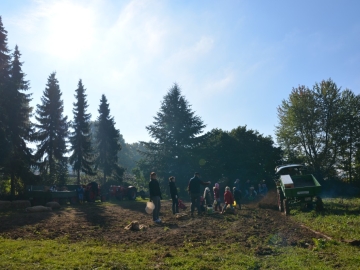 kartoffeln_2013_48