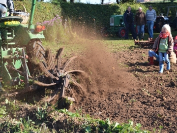 kartoffeln_2013_55