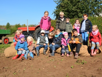 kartoffeln_2013_79