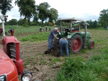 kartoffeln_2014_ernte1_06