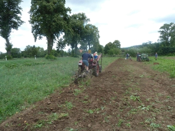 kartoffeln_2014_ernte1_12