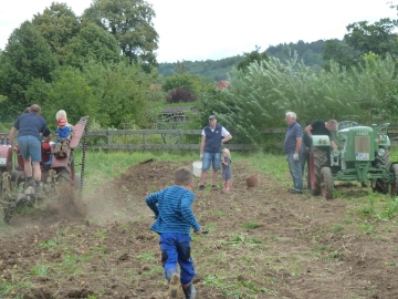 kartoffeln_2014_ernte1_14