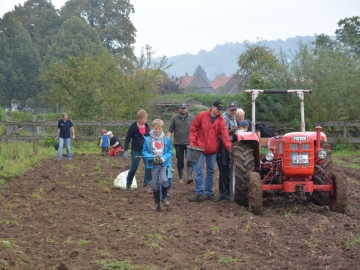 kartoffeln_2014_ernte2_01