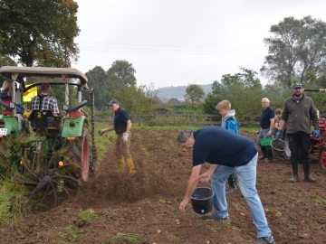 kartoffeln_2014_ernte2_04