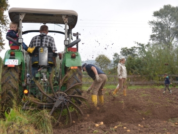 kartoffeln_2014_ernte2_06