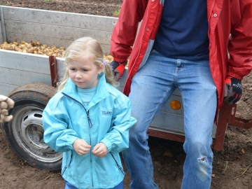 kartoffeln_2014_ernte2_15