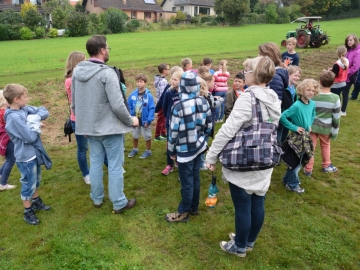 kartoffeln_2014_ernte_igs_006