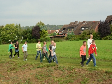 Kartoffeln 2014