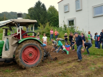 kartoffeln_2014_ernte_igs_035