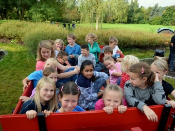 Kartoffeln 2014