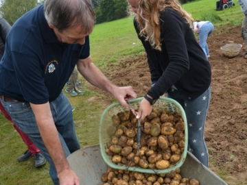 kartoffeln_2014_ernte_igs_099