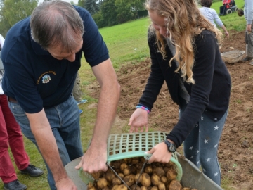 kartoffeln_2014_ernte_igs_100