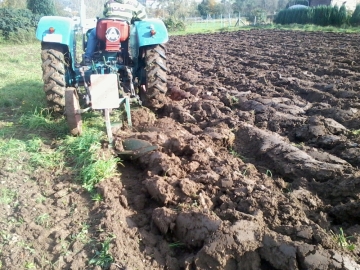 kartoffeln_2014_nacharbeit_07